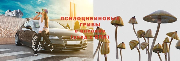 стаф Зерноград