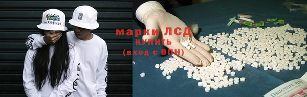 стаф Зерноград