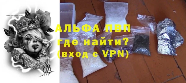 стаф Зерноград