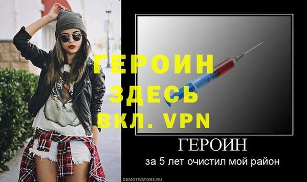 стаф Зерноград