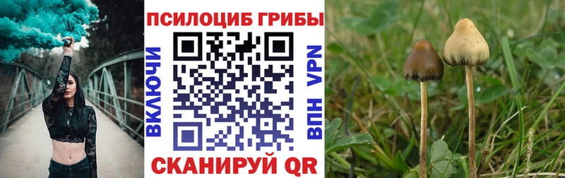 Псилоцибиновые грибы Magic Shrooms  Чадан 